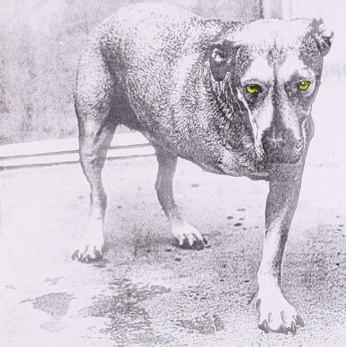 Alice In Chains - Alice In Chains (Music CD)