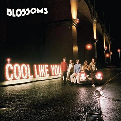 Blossoms - Cool Like You (Music CD)
