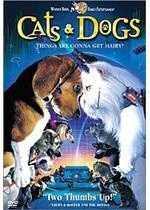Cats And Dogs
