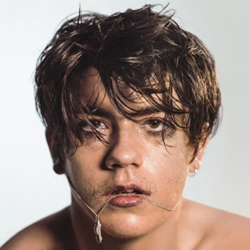 Declan McKenna - What Do You Think About the Car? (Music CD)