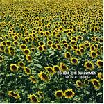 Echo And The Bunnymen - Me Im All Smiles (Music CD)