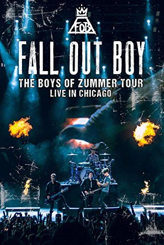 Fall out Boy: Boys of Zummer [DVD]