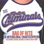 Fun Lovin Criminals - Bag of Hits (Music CD)