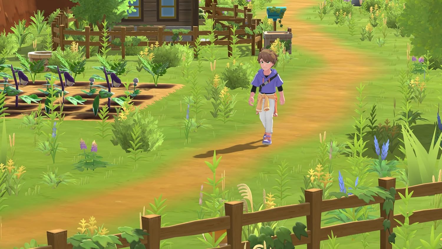 Harvest Moon: Home Sweet Home - Special Edition (NINTENDO SWITCH) - Image 2