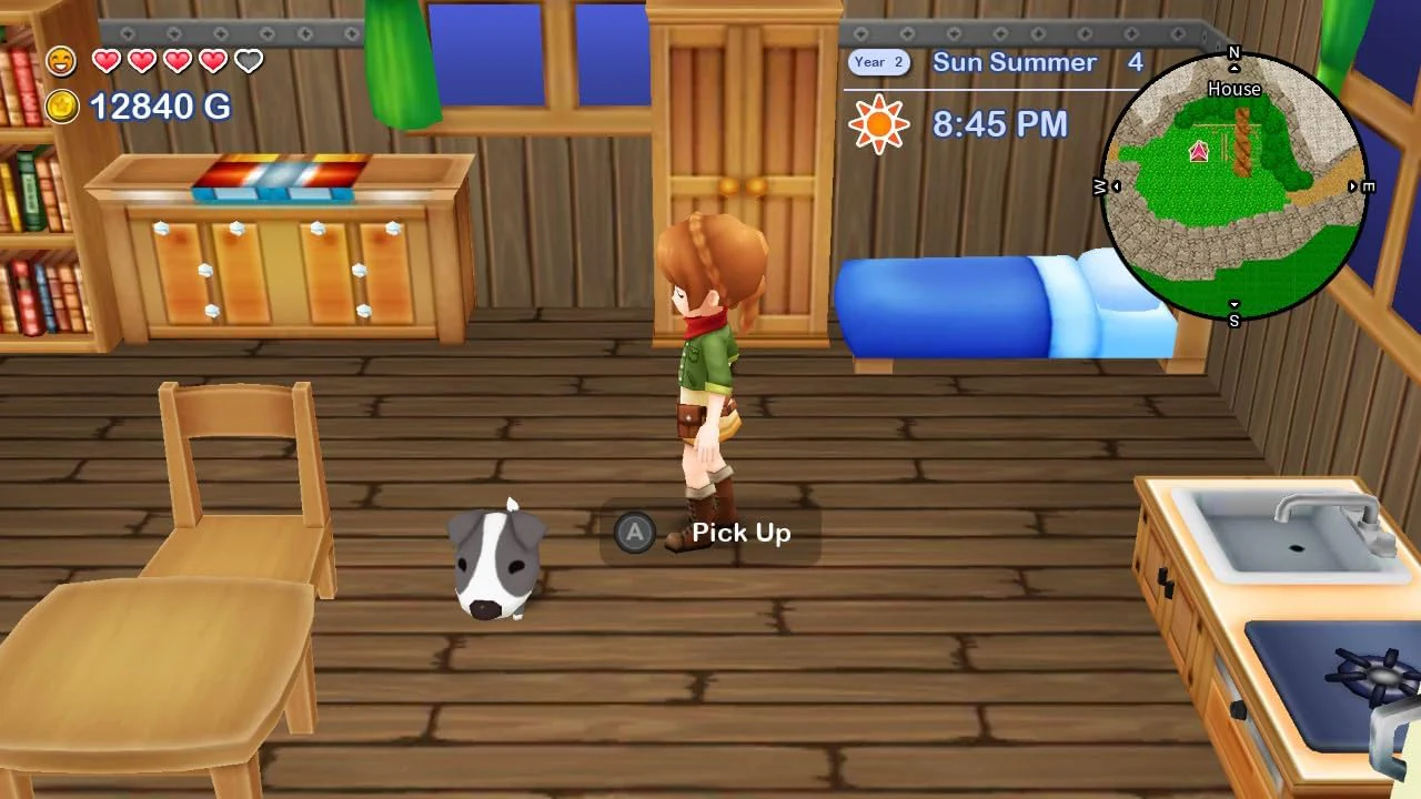 Harvest Moon: The Lost Valley and Skytree Village - Collector's Edition (Nintendo Switch) - Image 4
