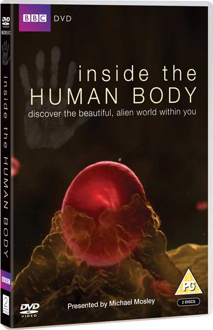 Inside the Human Body
