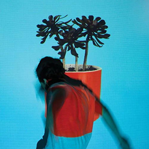 Local Natives - Sunlit Youth (Music CD)