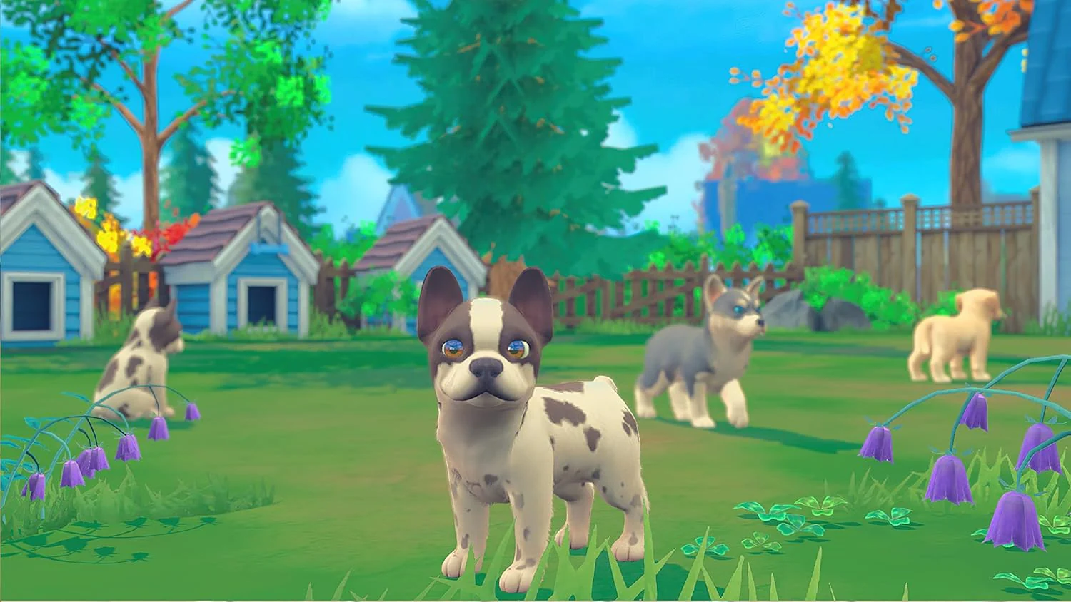 My Universe: Puppies & Kittens (Nintendo Switch) (Code-in-a-box) - Image 5