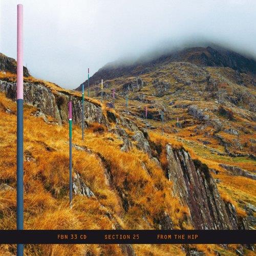 Section 25 - From the Hip (Music CD)
