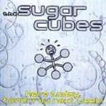 Sugarcubes (The) - Here Today Tomorrow Next Week