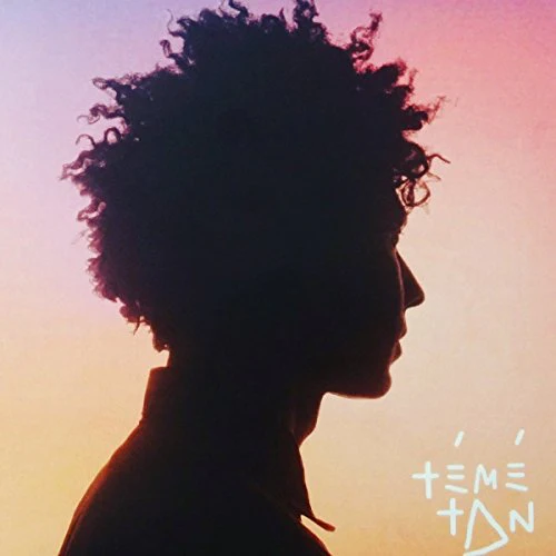 Teme Tan - Témé Tan (Music CD)