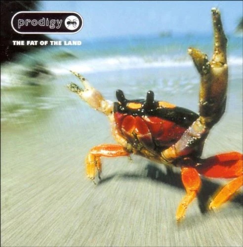 The Prodigy - The Fat of the Land (Music CD)