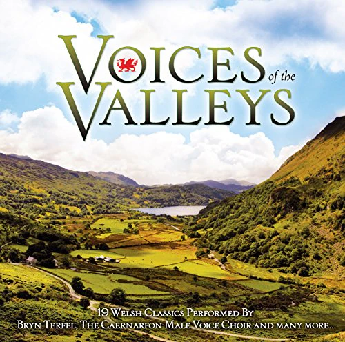Voices Of The Valleys (Music CD)